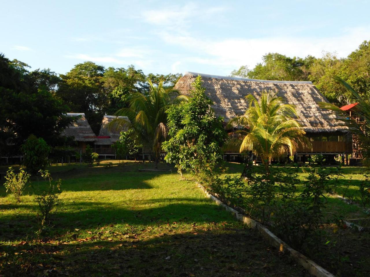 Intillama Jungle Lodge Eirl Paucarpata  Zewnętrze zdjęcie