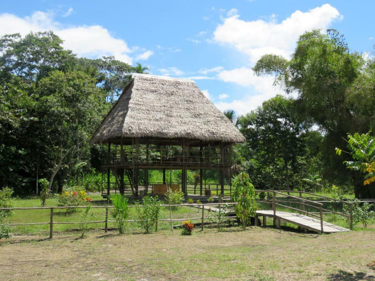 Intillama Jungle Lodge Eirl Paucarpata  Zewnętrze zdjęcie